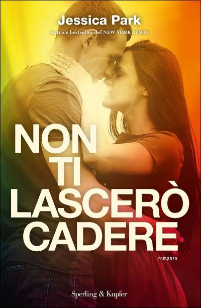 trama del libro Non ti lascerò cadere
