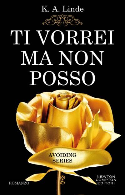 trama del libro Ti vorrei ma non posso