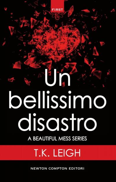 trama del libro Un bellissimo disastro
