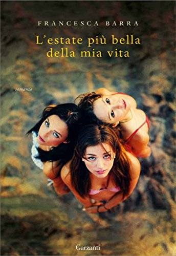 trama del libro L'estate più bella della nostra vita