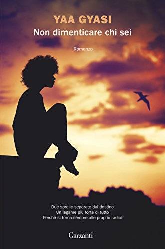 trama del libro Non dimenticare chi sei