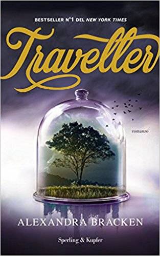 trama del libro Traveller