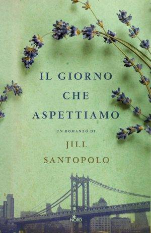 trama del libro Il giorno che aspettiamo 