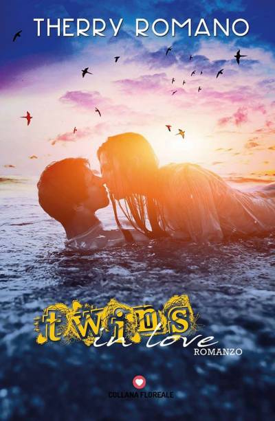 trama del libro Twins in love
