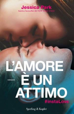 trama del libro L'amore è un attimo