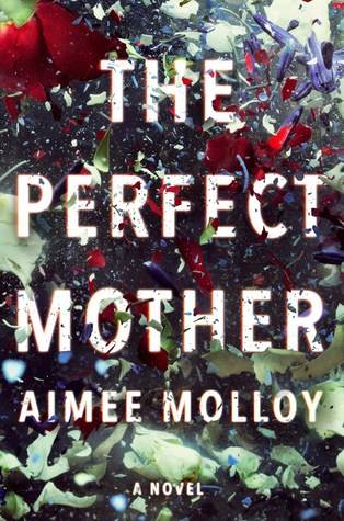 Aimee Molloy La madre peretta - copertina