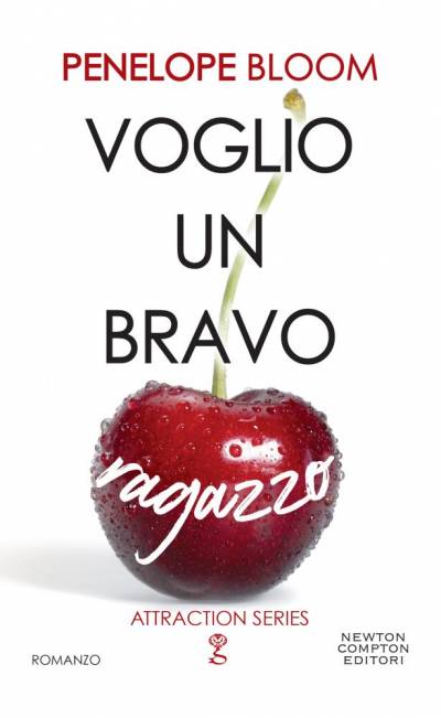 trama del libro Voglio un bravo ragazzo
