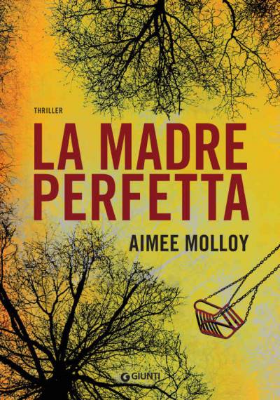 trama del libro La madre perfetta