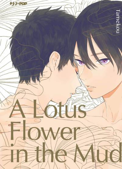 A Lotus flower in the Mud